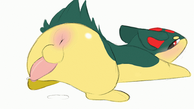 pok�mon (species)+quilava