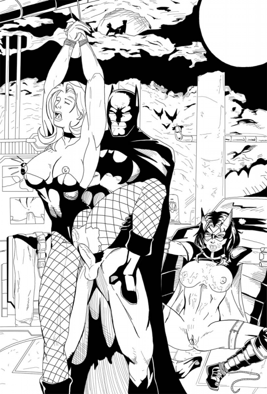 batgirl+batman+black canary+bruce wayne+dick grayson+dinah lance+helena bertinelli+huntress+robin (dc)