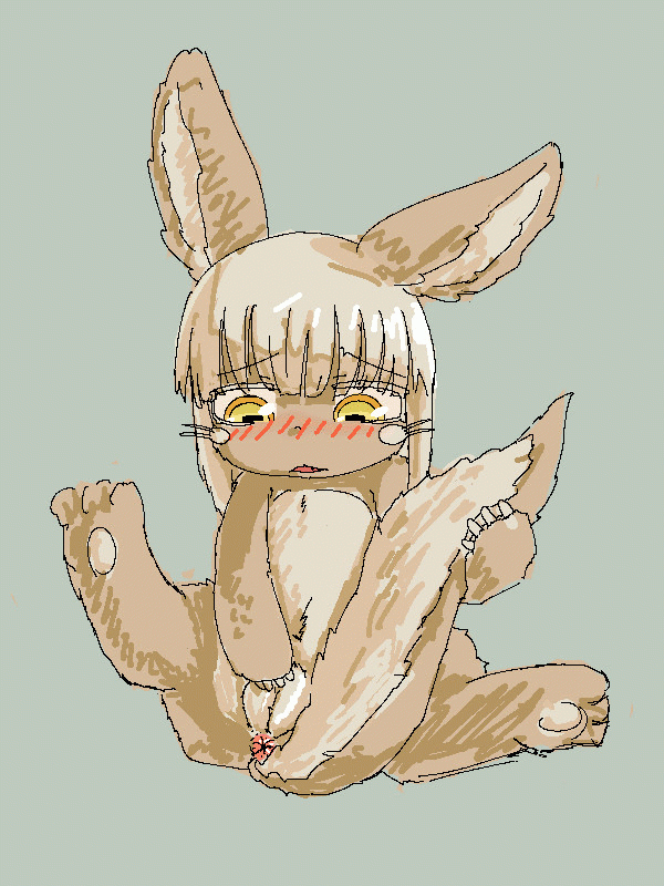 nanachi