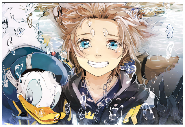 donald duck+sora (kingdom hearts)