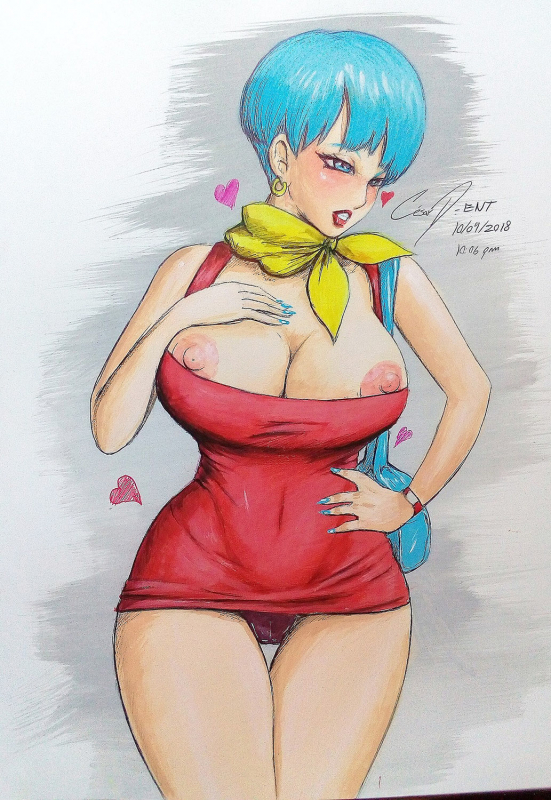 bulma briefs