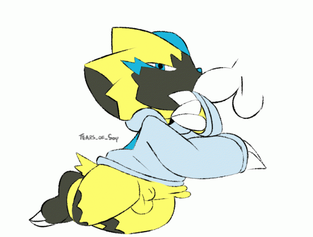 original character+pok�mon (species)+zeraora