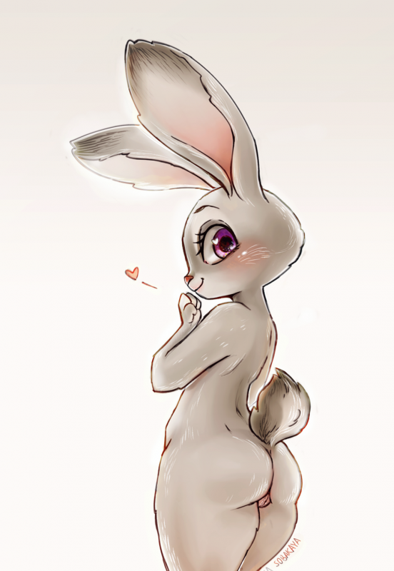 judy hopps