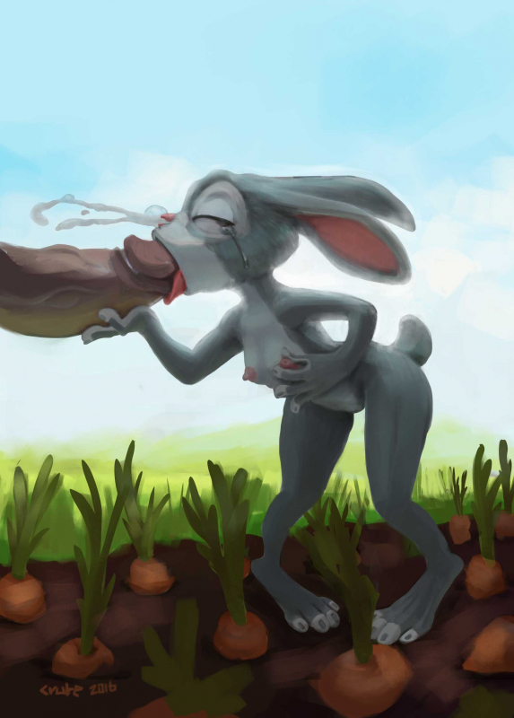 judy hopps