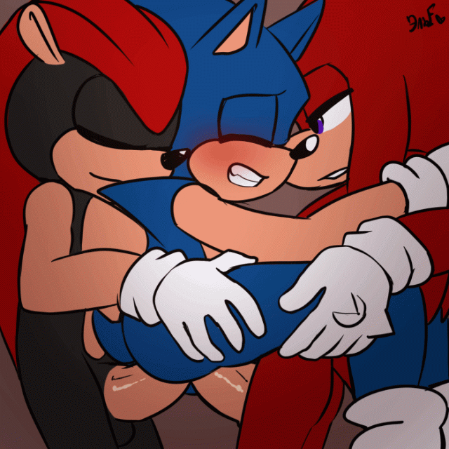 knuckles the echidna+mighty the armadillo+sonic the hedgehog