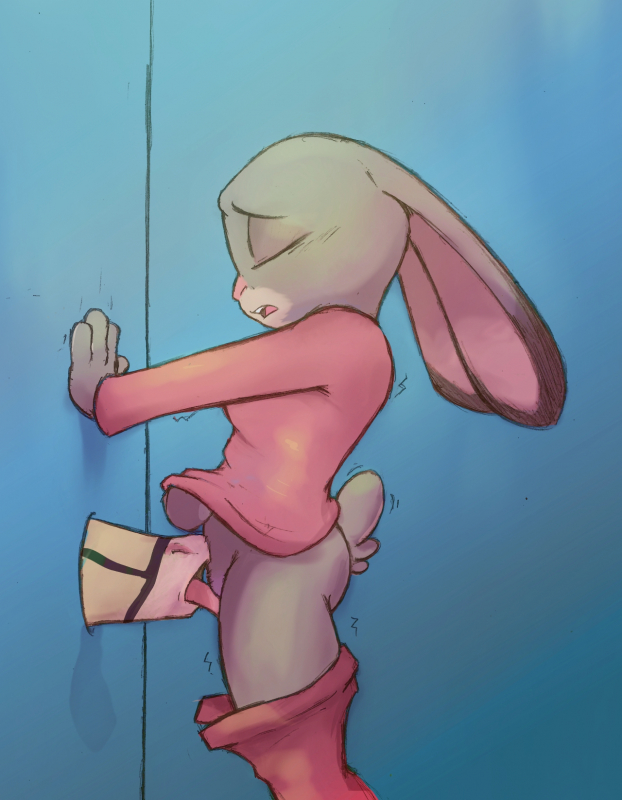 judy hopps
