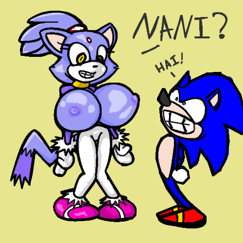 blaze the cat+sonic the hedgehog