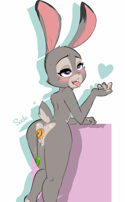 judy hopps