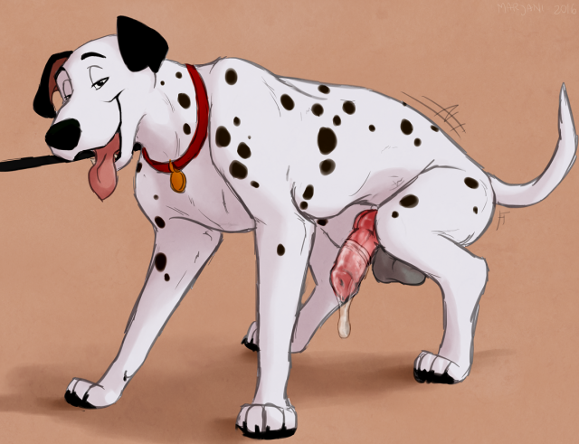 pongo