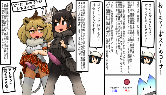 kaban (kemono friends)+lion (kemono friends)+lucky beast (kemono friends)+moose (kemono friends)