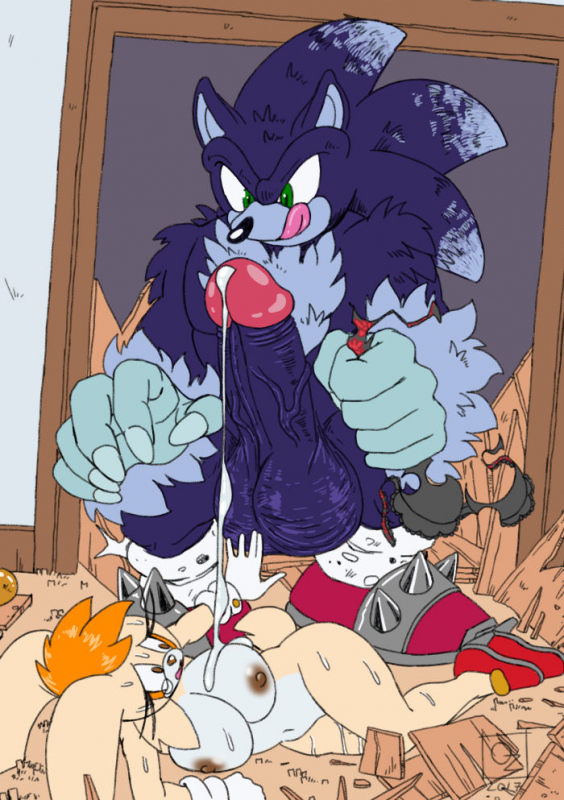 sonic the werehog+vanilla the rabbit