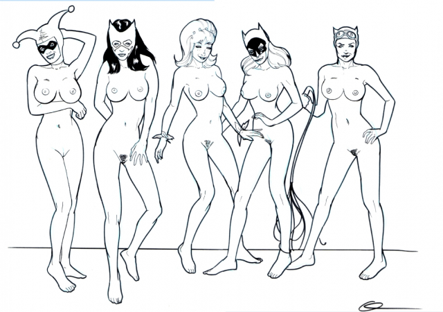 barbara gordon+batgirl+catwoman+harley quinn+huntress+poison ivy