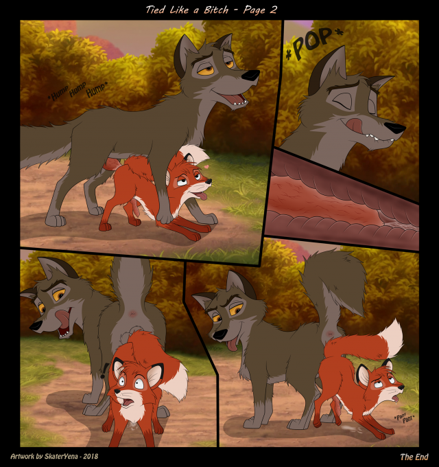 balto+tod