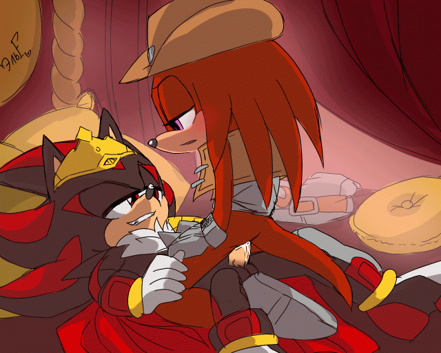 knuckles the echidna+shadow the hedgehog.