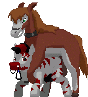 hilden watch+vyktor dreygo