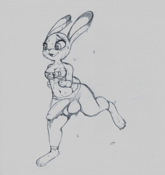 judy hopps