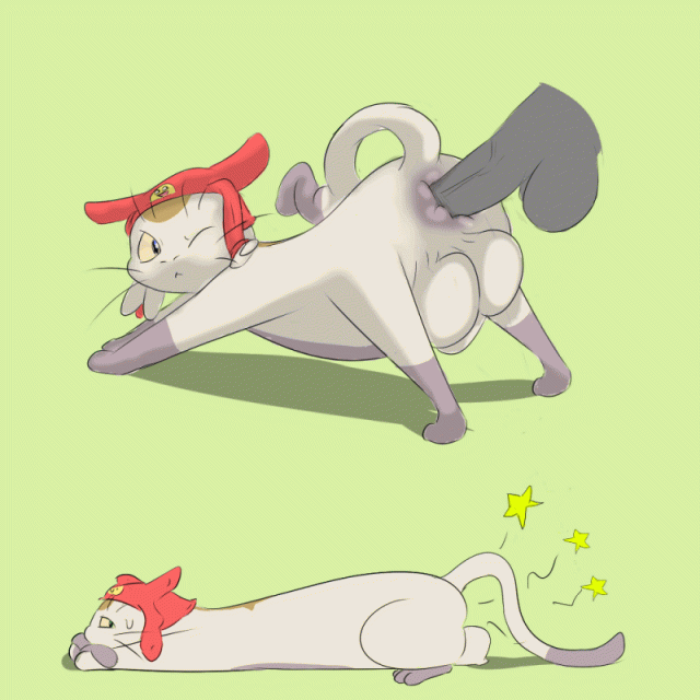 meow (space dandy)