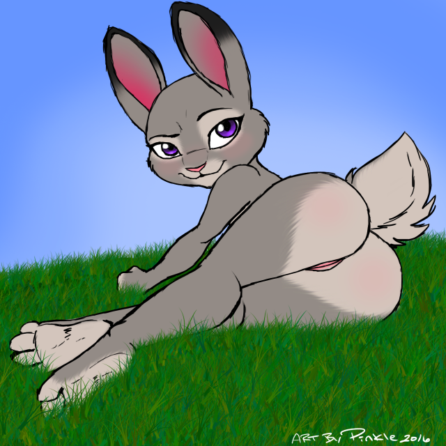 judy hopps