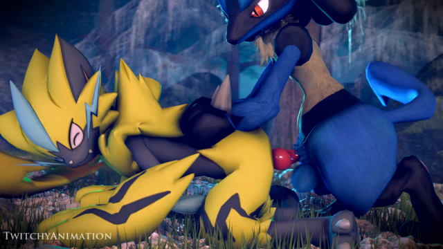lucario+zeraora