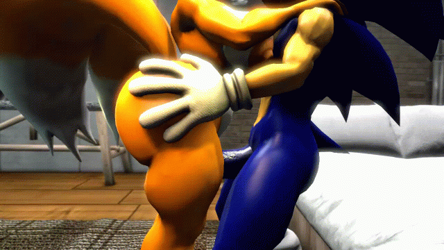 sonic the hedgehog+tails
