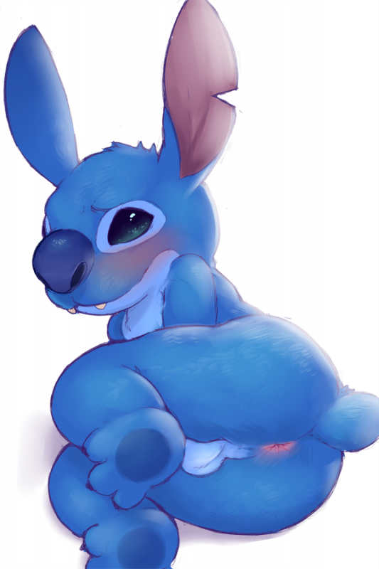 experiment (species)+stitch