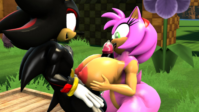 amy rose+shadow the hedgehog