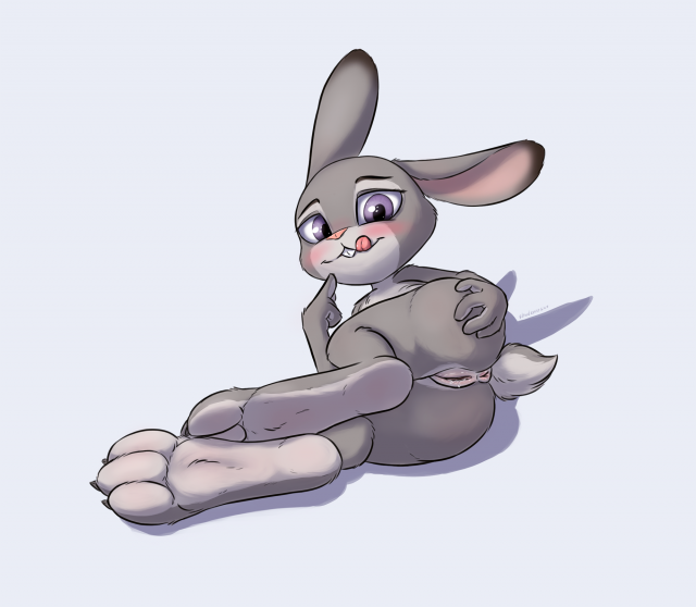 judy hopps