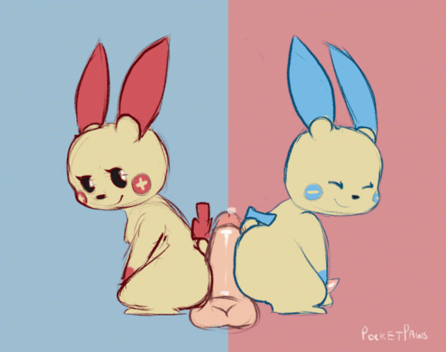 minun+plusle+pok�mon (species)