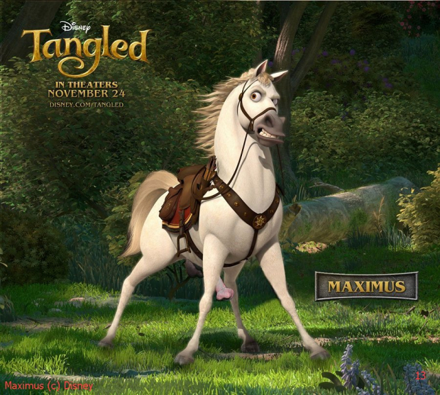 maximus (tangled)