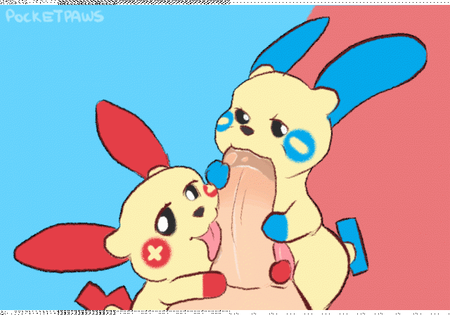 minun+plusle+pok�mon (species)