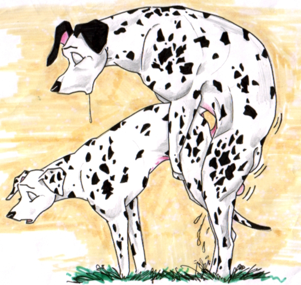 perdita+pongo