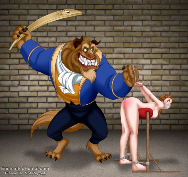 belle+the beast