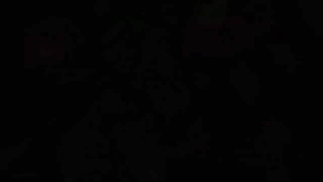 enterprise (azur lane)+zero two (darling in the franxx)