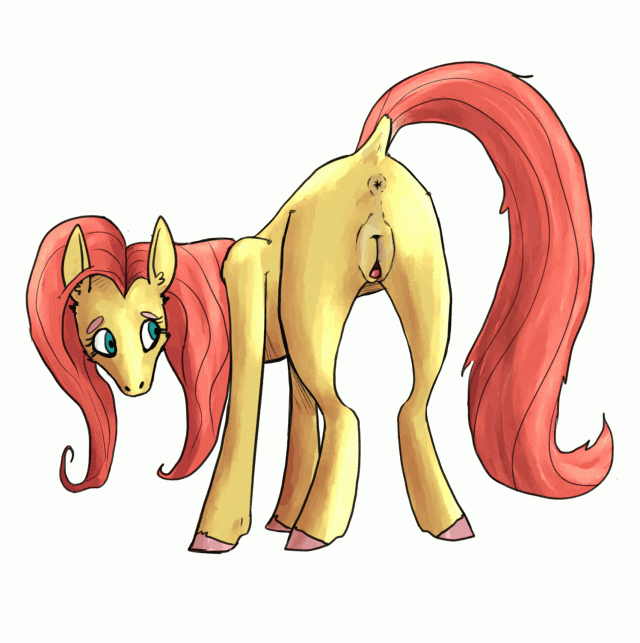 fluttershy (mlp)