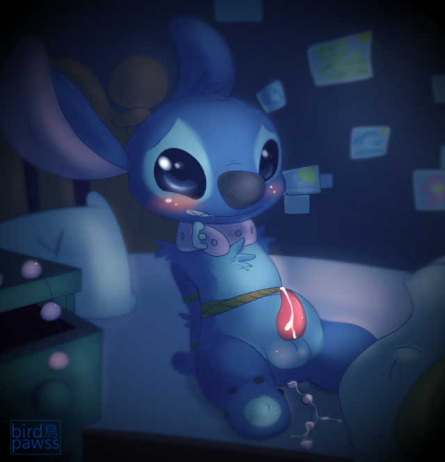 experiment (species)+stitch