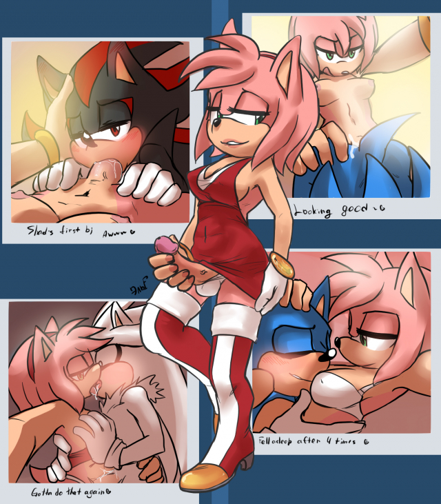 amy rose+shadow the hedgehog+silver the hedgehog+sonic the hedgehog