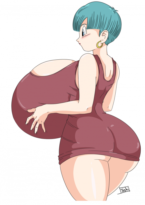 bulma briefs