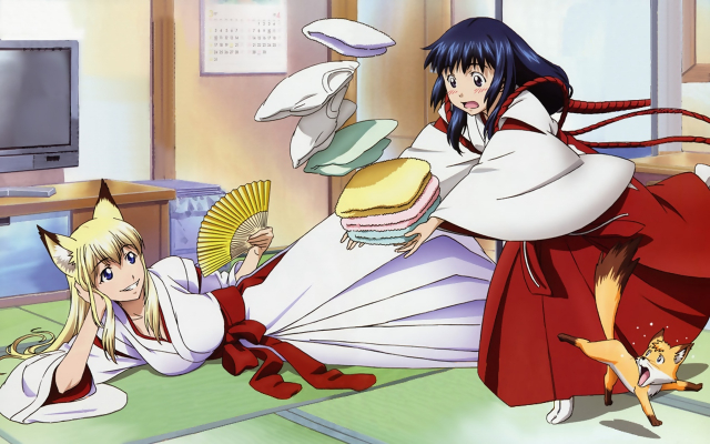 kou (wagaya)+kou (wagaya no oinari-sama)+tenko kuugen