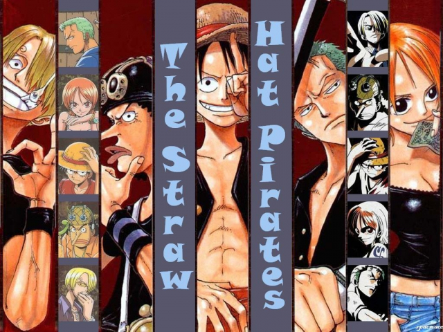 monkey d luffy+nami (one piece)+roronoa zoro+sanji+usopp