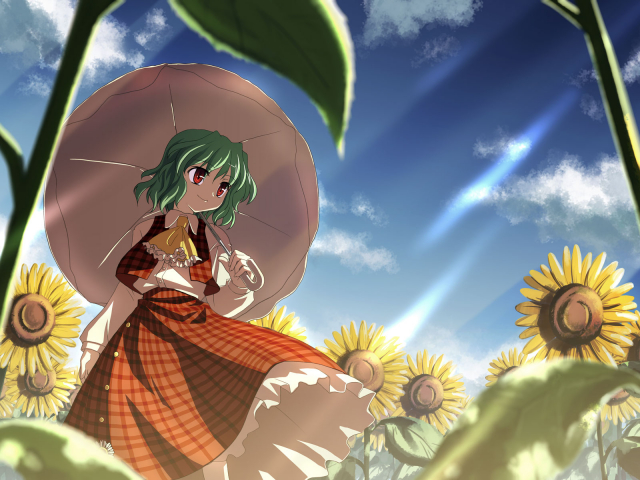 kazami yuuka