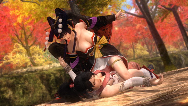 momiji (ninja gaiden)+nyotengu