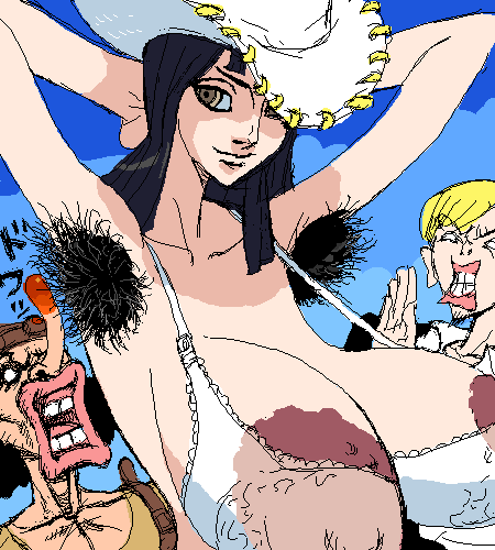 nico robin+sanji+usopp