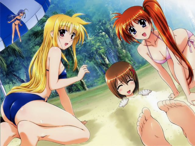 fate testarossa+reinforce zwei+takamachi nanoha+yagami hayate