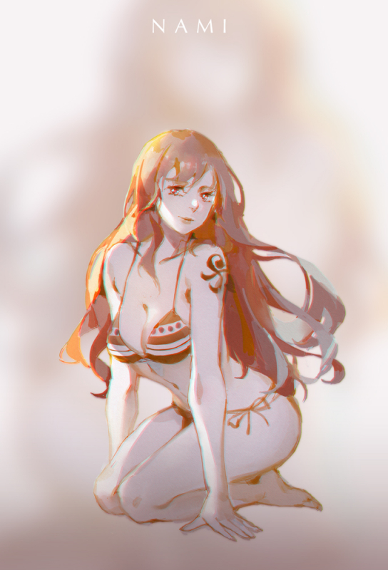 nami (one piece)