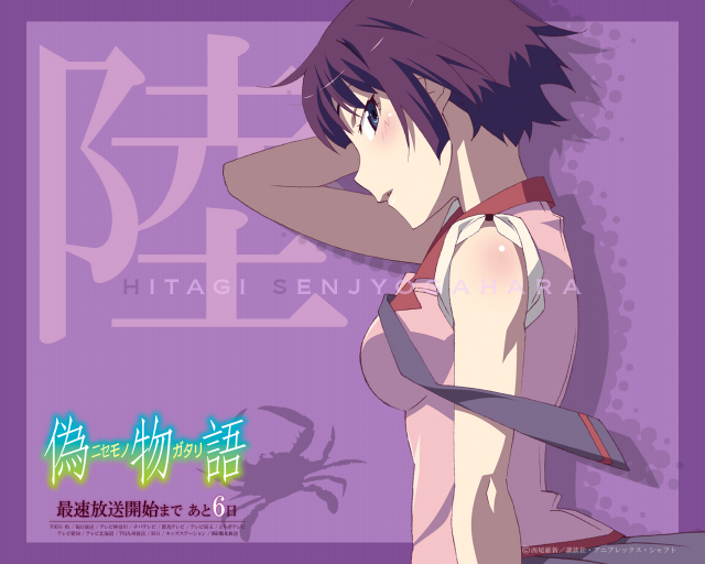 senjougahara hitagi