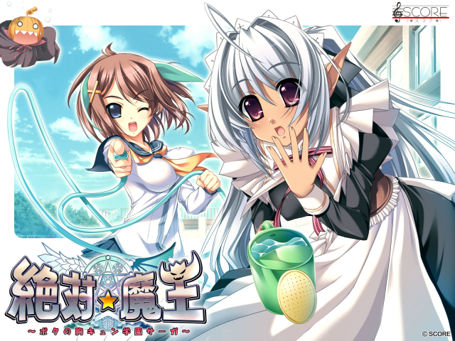 luiana drawers+sakura yuki