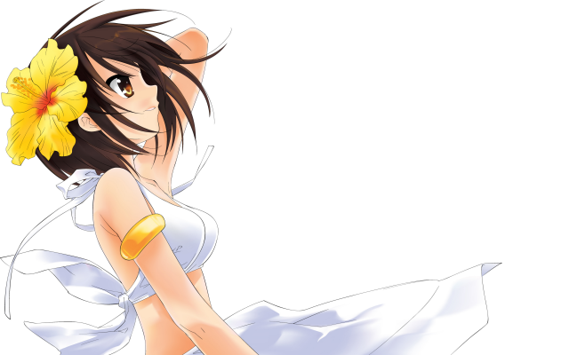 suzumiya haruhi