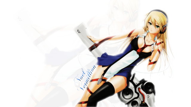 noel vermillion