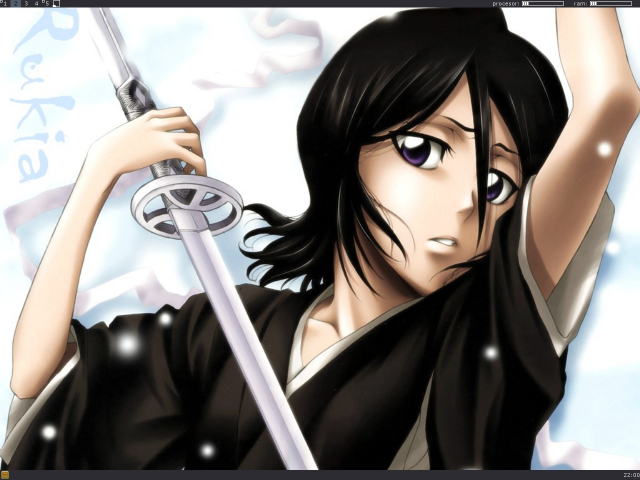 kuchiki rukia+sode no shirayuki