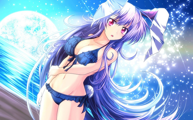 reisen udongein inaba